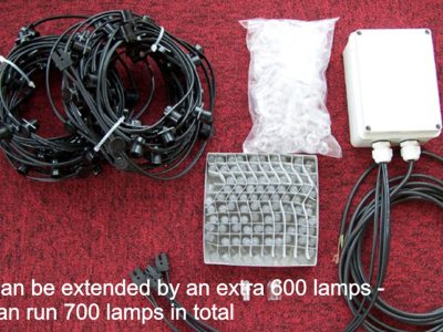 Lumalite - Animators in light and illumination - Lighting Manufacturers UK - LED tree lighting kit 100