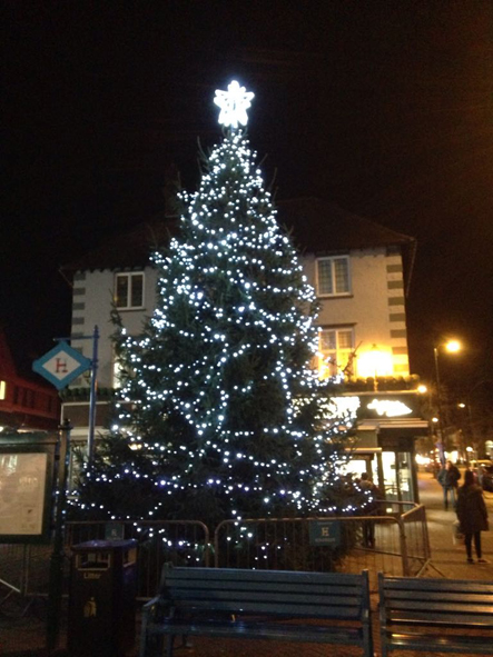 Lumalite - Animators in light and illumination - Lighting Manufacturers UK - Christmas Tree
